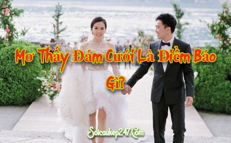 Mơ Thấy Đám Cưới Là Điềm Báo Gì? Giải Mã Giấc Mơ Thấy Cưới