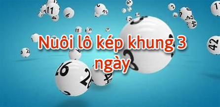 Nuôi lô kép khung 3 ngày