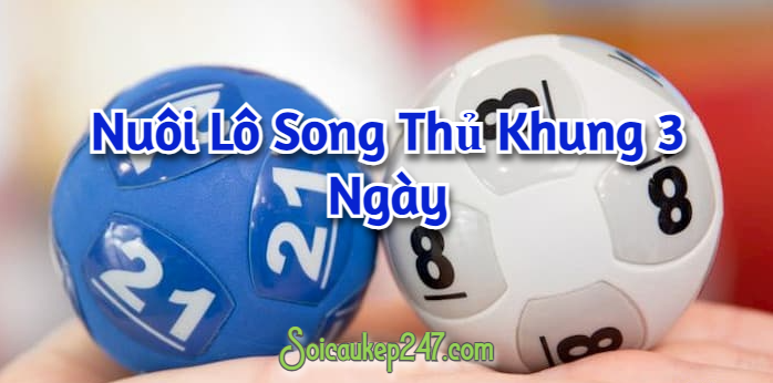 Nuôi Lô Song Thủ Khung 3 Ngày Víp